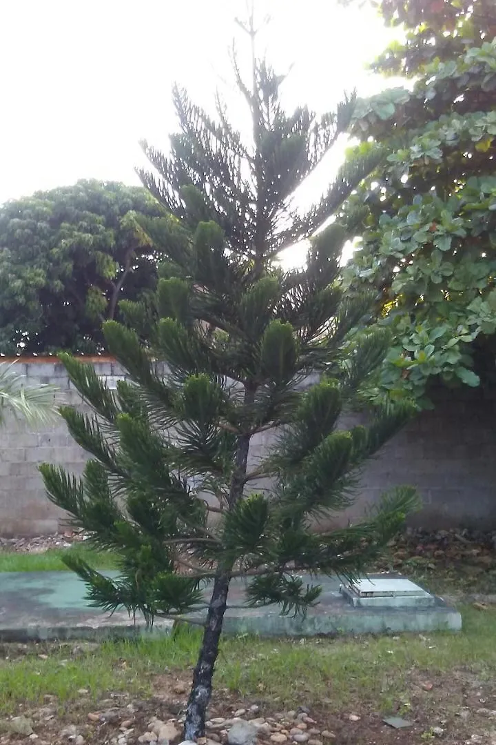 Habitacion Amueblada Santo Domingo Homestay